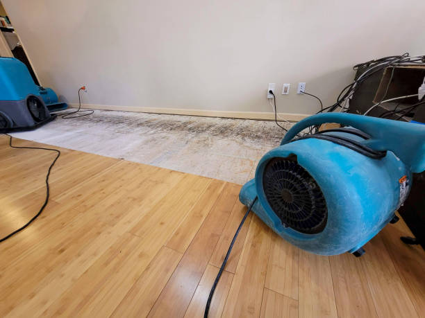 Professional Structural Drying technician working in Gladstone, MI